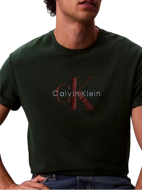 T-shirt verde in cotone Calvin Klein Jeans | LV04RB862GLLG